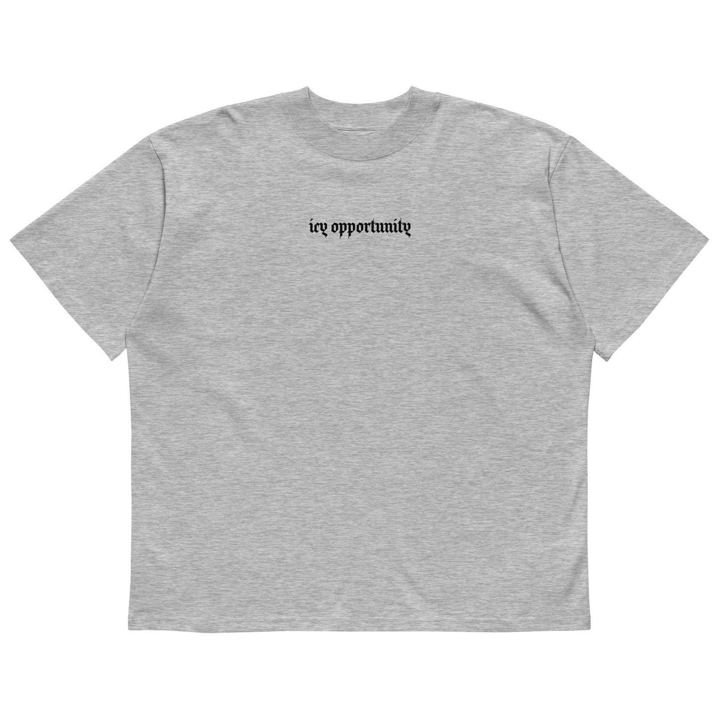 Icy Oversized High Neck T-Shirt