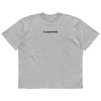 Icy Oversized High Neck T-Shirt