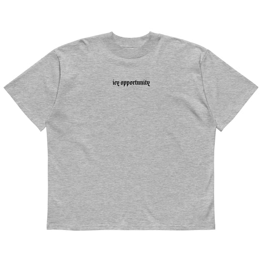 Icy Oversized High Neck T-Shirt