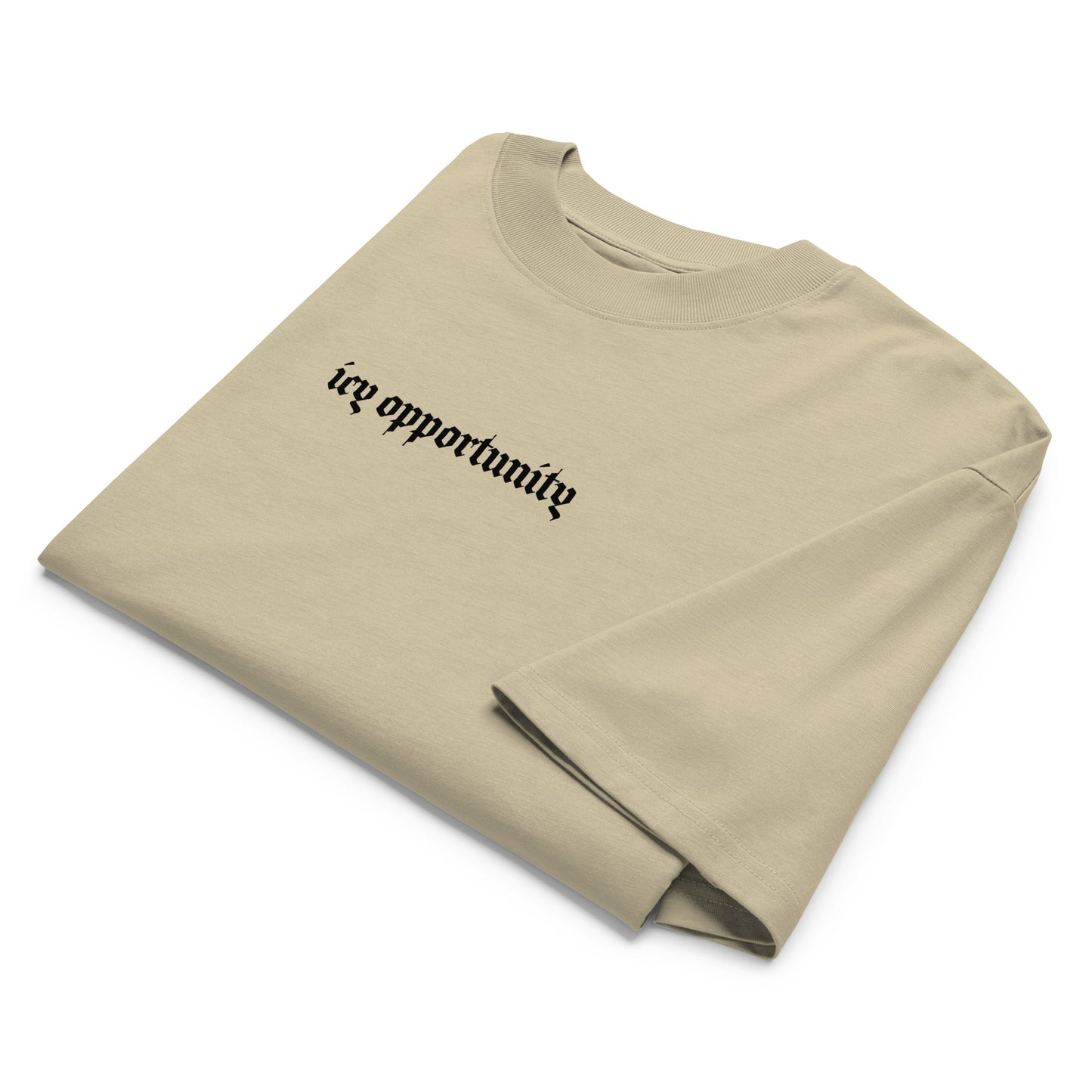 Icy Oversized High Neck T-Shirt
